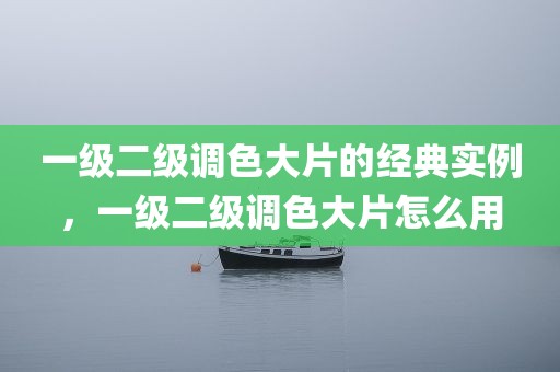 一级二级调色大片的经典实例，一级二级调色大片怎么用