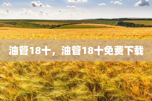 油管18十，油管18十免费下载