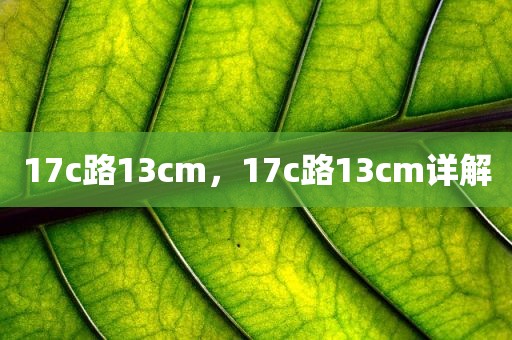 17c路13cm，17c路13cm详解
