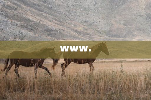www.