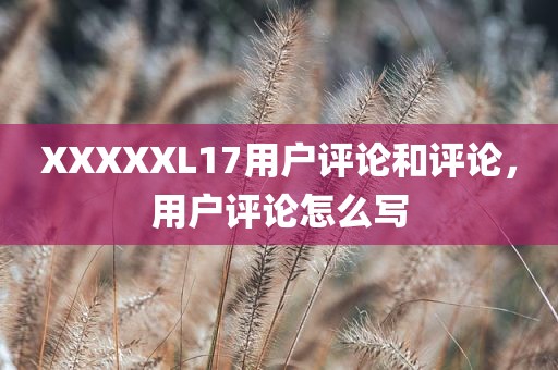 XXXXXL17用户评论和评论，用户评论怎么写