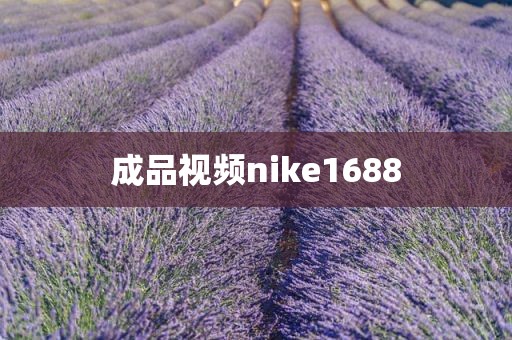 成品视频nike1688