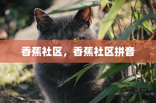 香蕉社区，香蕉社区拼音