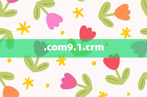 .com9.1.crm