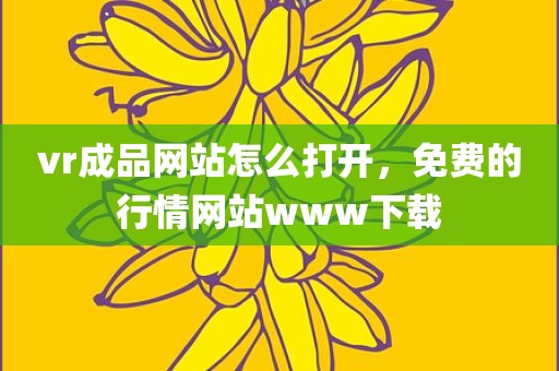 vr成品网站怎么打开，免费的行情网站www下载