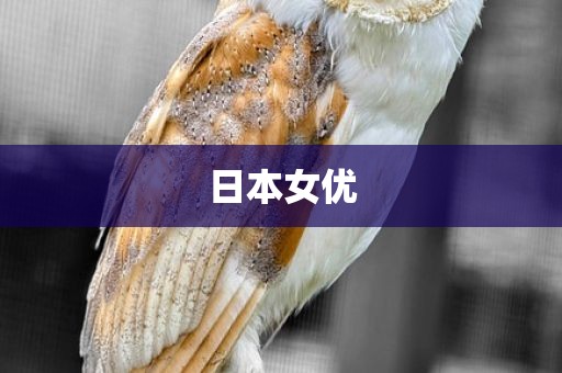 日本女优