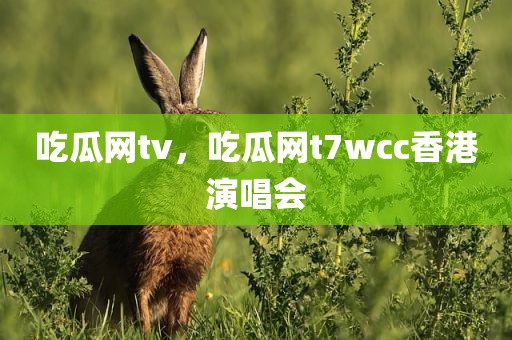 吃瓜网tv，吃瓜网t7wcc香港演唱会