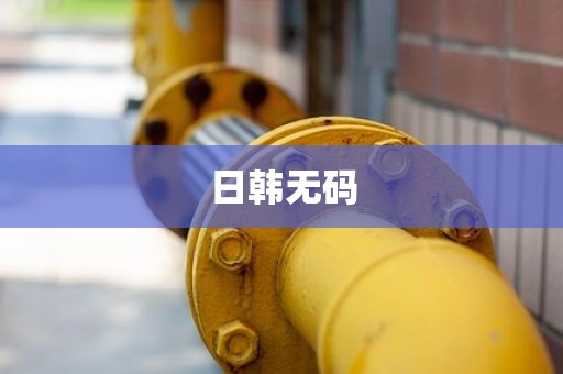 日韩无码