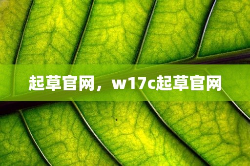 起草官网，w17c起草官网