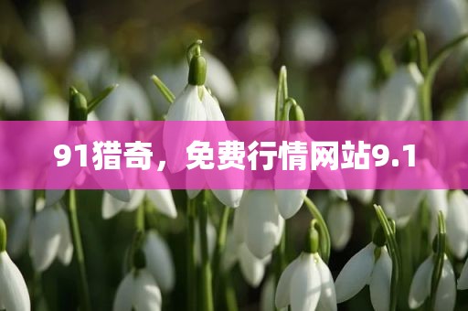 91猎奇，免费行情网站9.1