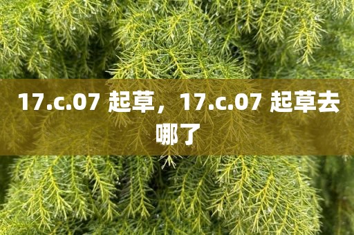 17.c.07 起草，17.c.07 起草去哪了
