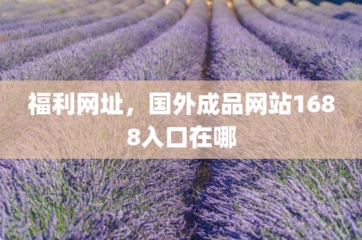 福利网址，国外成品网站1688入口在哪