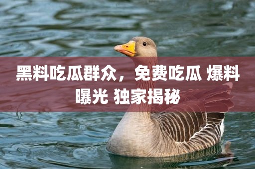 黑料吃瓜群众，免费吃瓜 爆料曝光 独家揭秘