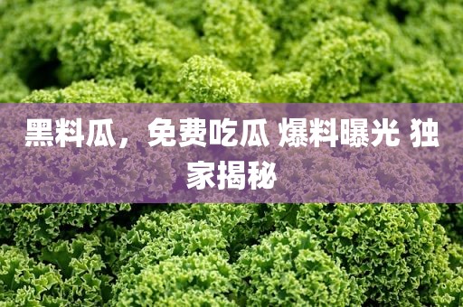 黑料瓜，免费吃瓜 爆料曝光 独家揭秘