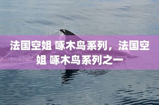 法国空姐 啄木鸟系列，法国空姐 啄木鸟系列之一