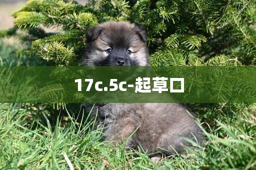 17c.5c-起草口