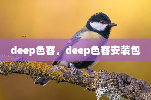 deep色客，deep色客安装包