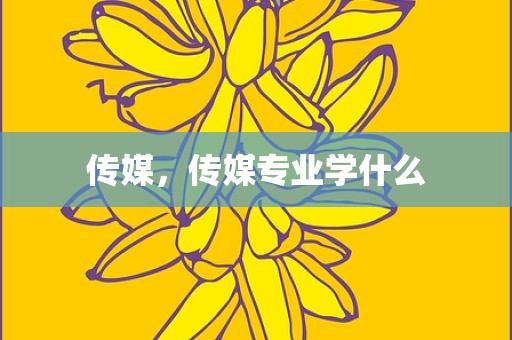 传媒，传媒专业学什么