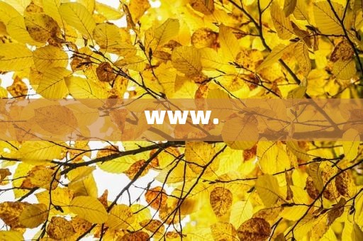 www.