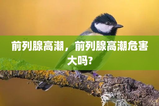前列腺高潮，前列腺高潮危害大吗?