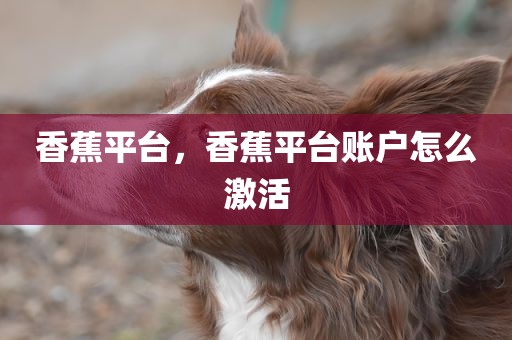 香蕉平台，香蕉平台账户怎么激活