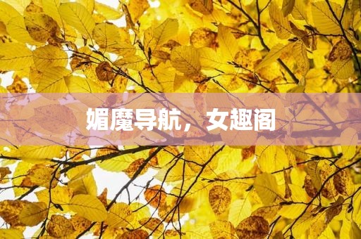 媚魔导航，女趣阁
