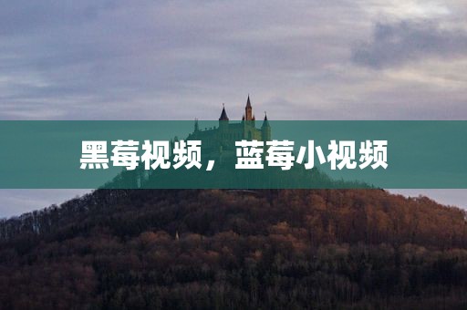 黑莓视频，蓝莓小视频