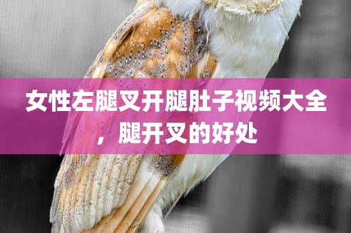 女性左腿叉开腿肚子视频大全，腿开叉的好处