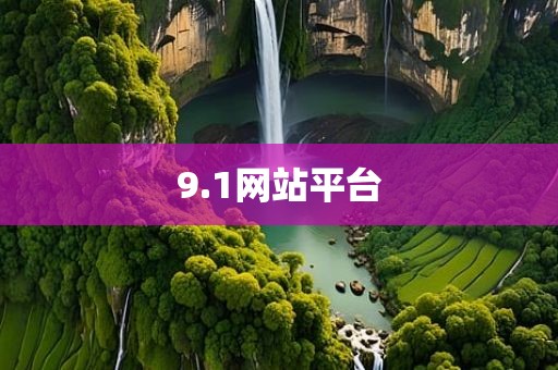9.1网站平台