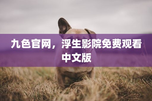 九色官网，浮生影院免费观看中文版