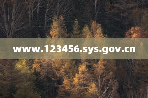 www.123456.sys.gov.cn