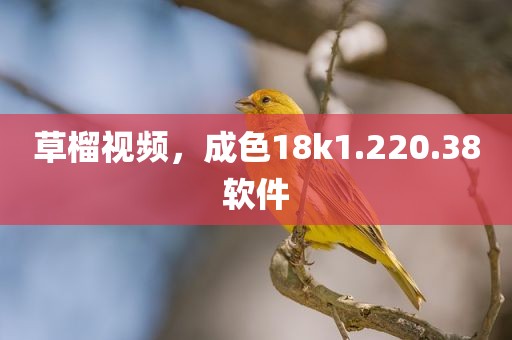 草榴视频，成色18k1.220.38软件