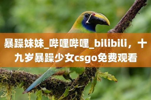 暴躁妹妹_哔哩哔哩_bilibili，十九岁暴躁少女csgo免费观看