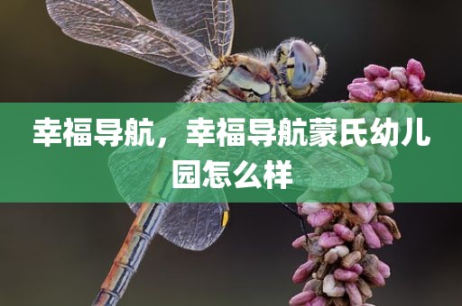 幸福导航，幸福导航蒙氏幼儿园怎么样