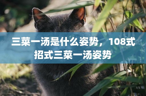 三菜一汤是什么姿势，108式招式三菜一汤姿势