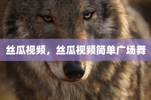 丝瓜视频，丝瓜视频简单广场舞
