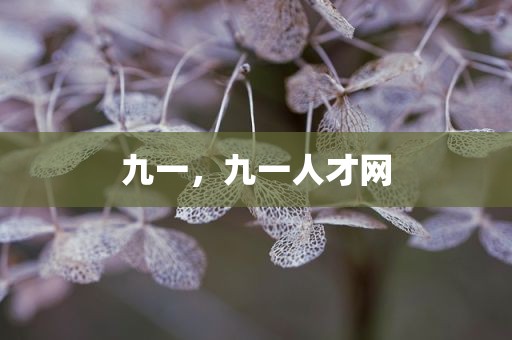九一，九一人才网