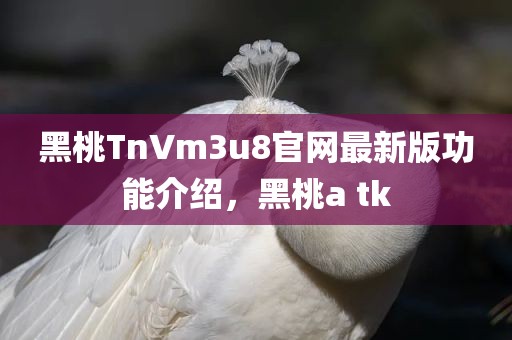 黑桃TnVm3u8官网最新版功能介绍，黑桃a tk