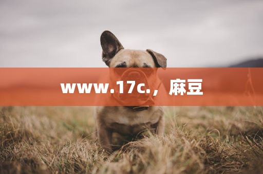 www.17c.，麻豆