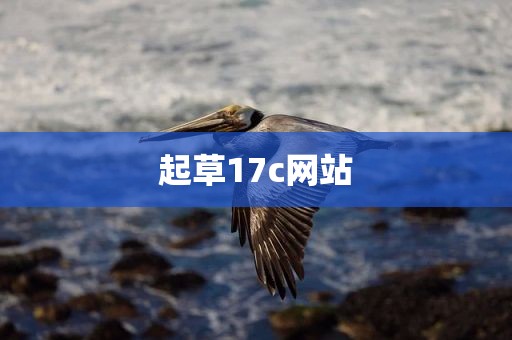 起草17c网站