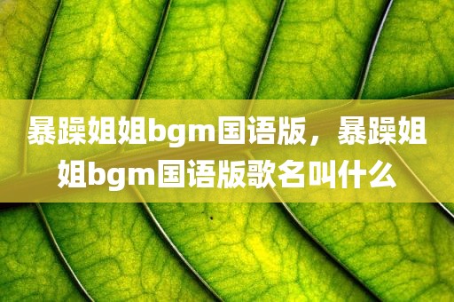 暴躁姐姐bgm国语版，暴躁姐姐bgm国语版歌名叫什么