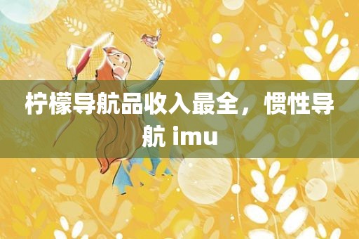 柠檬导航品收入最全，惯性导航 imu
