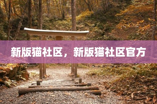 新版猫社区，新版猫社区官方