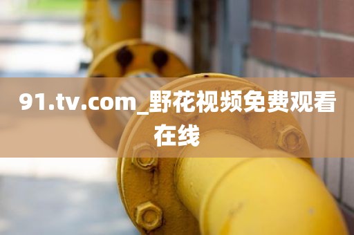 91.tv.com_野花视频免费观看在线