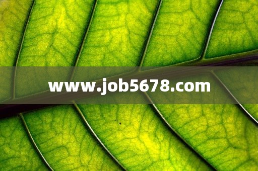 www.job5678.com