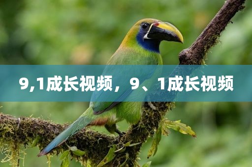 9,1成长视频，9、1成长视频