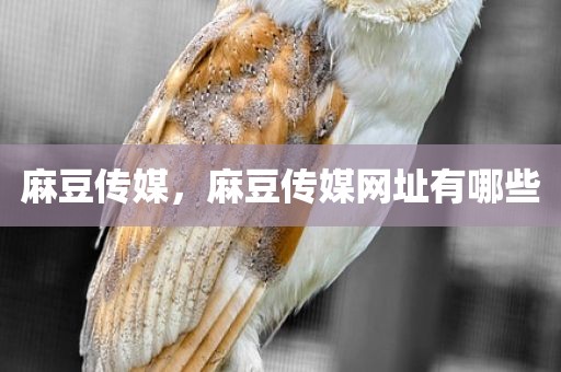 麻豆传媒，麻豆传媒网址有哪些