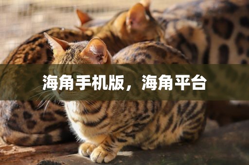 海角手机版，海角平台