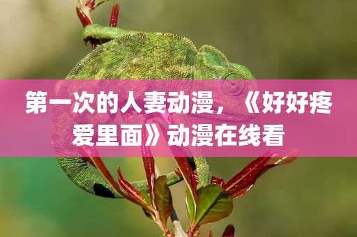 第一次的人妻动漫，《好好疼爱里面》动漫在线看
