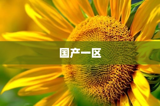 国产一区